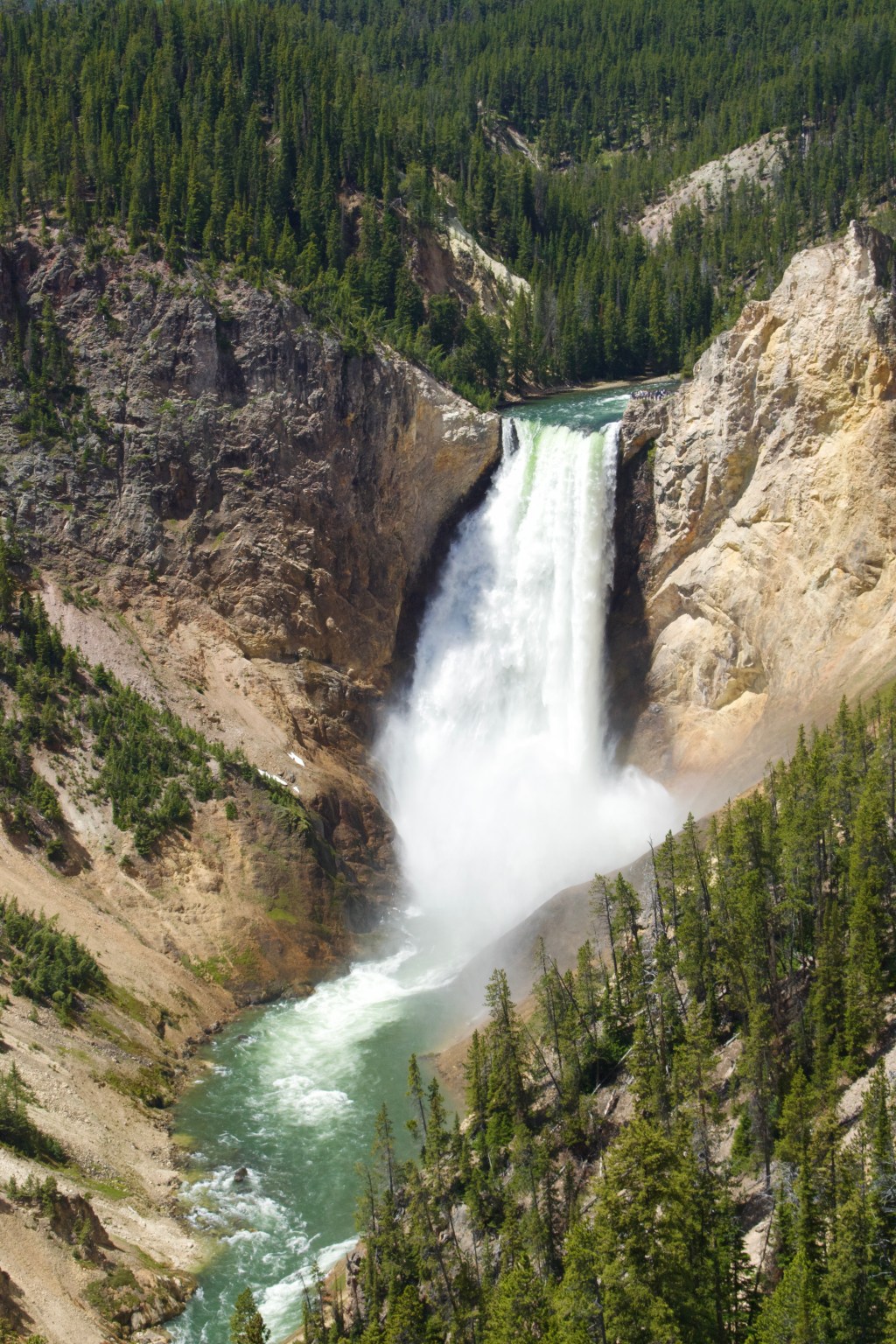 Lower Falls, Yellowstone National Park, WY