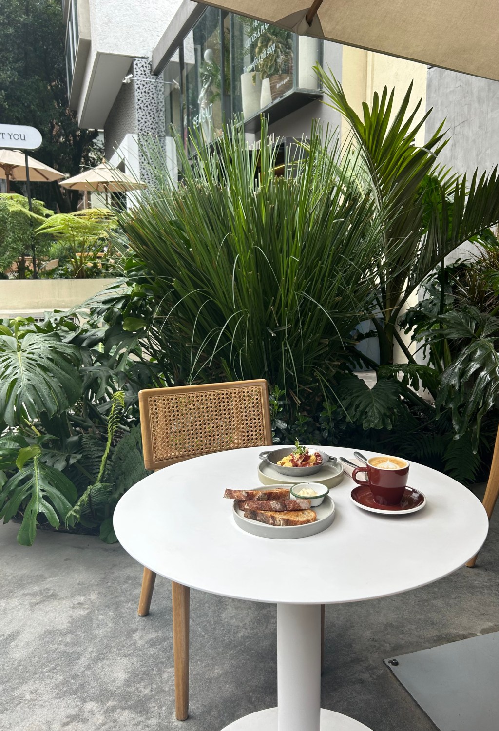 Tropicalia Coffee, Bogota, Colombia