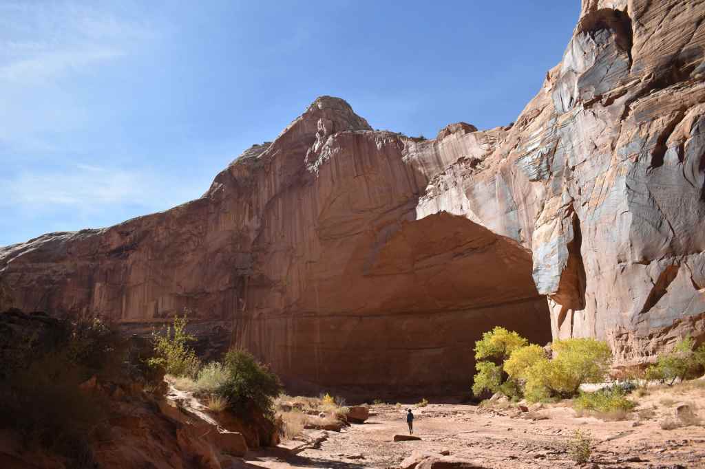 Horseshoe Canyon, Canyonlands National Park